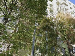 Colentina, Fundeni, Rau, Bacila