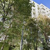 Colentina, Fundeni, Rau, Bacila